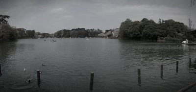 洗足池公園 (東京都大田区の水辺)