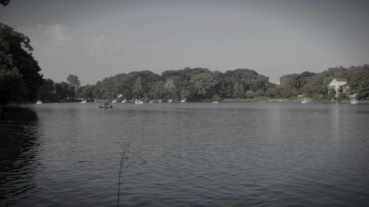 洗足池公園のイメージ 2 / 4(モザイク処理済み)