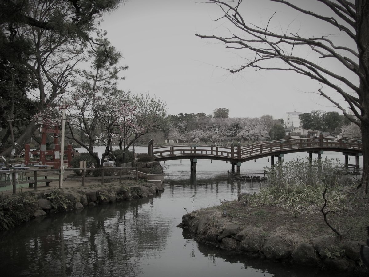 洗足池公園のイメージ 4 / 4(モザイク処理済み)