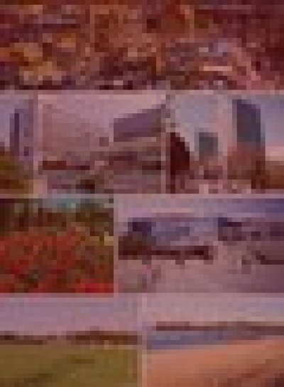 旧習志野陸軍演習場跡地