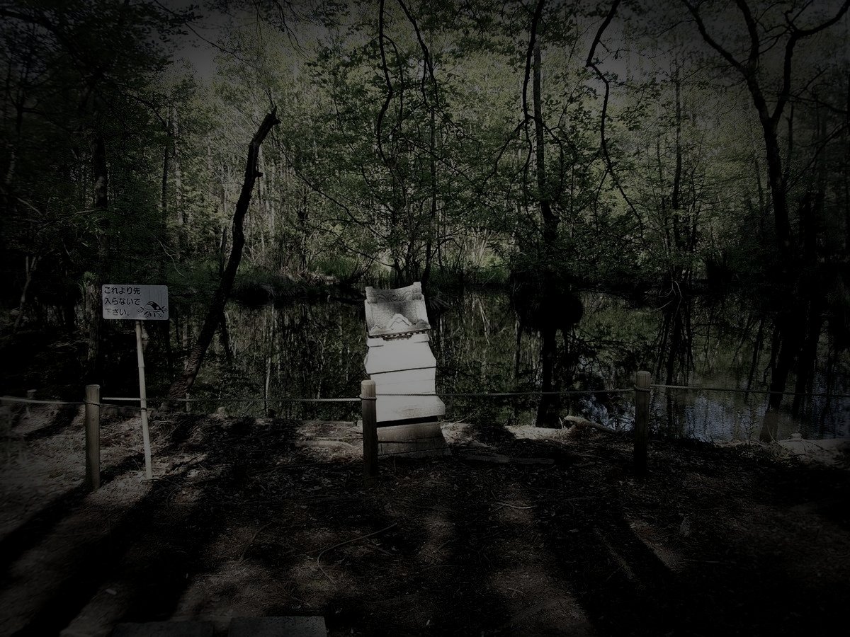 こんぶくろ池のイメージ（モザイク処理済み）