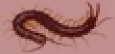 東大阪市旧生駒山の山岳霊