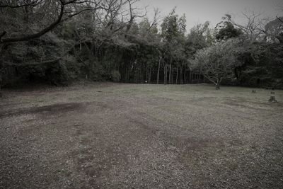 小机城址 (神奈川県横浜市港北区の公園・城址)