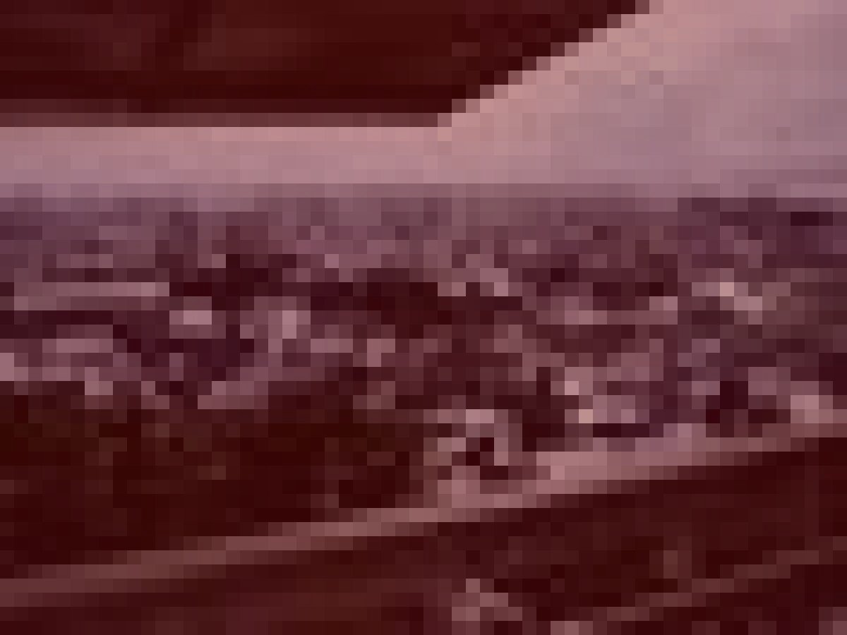 坂井市旧丸岡城の武者霊のイメージ（モザイク処理済み）