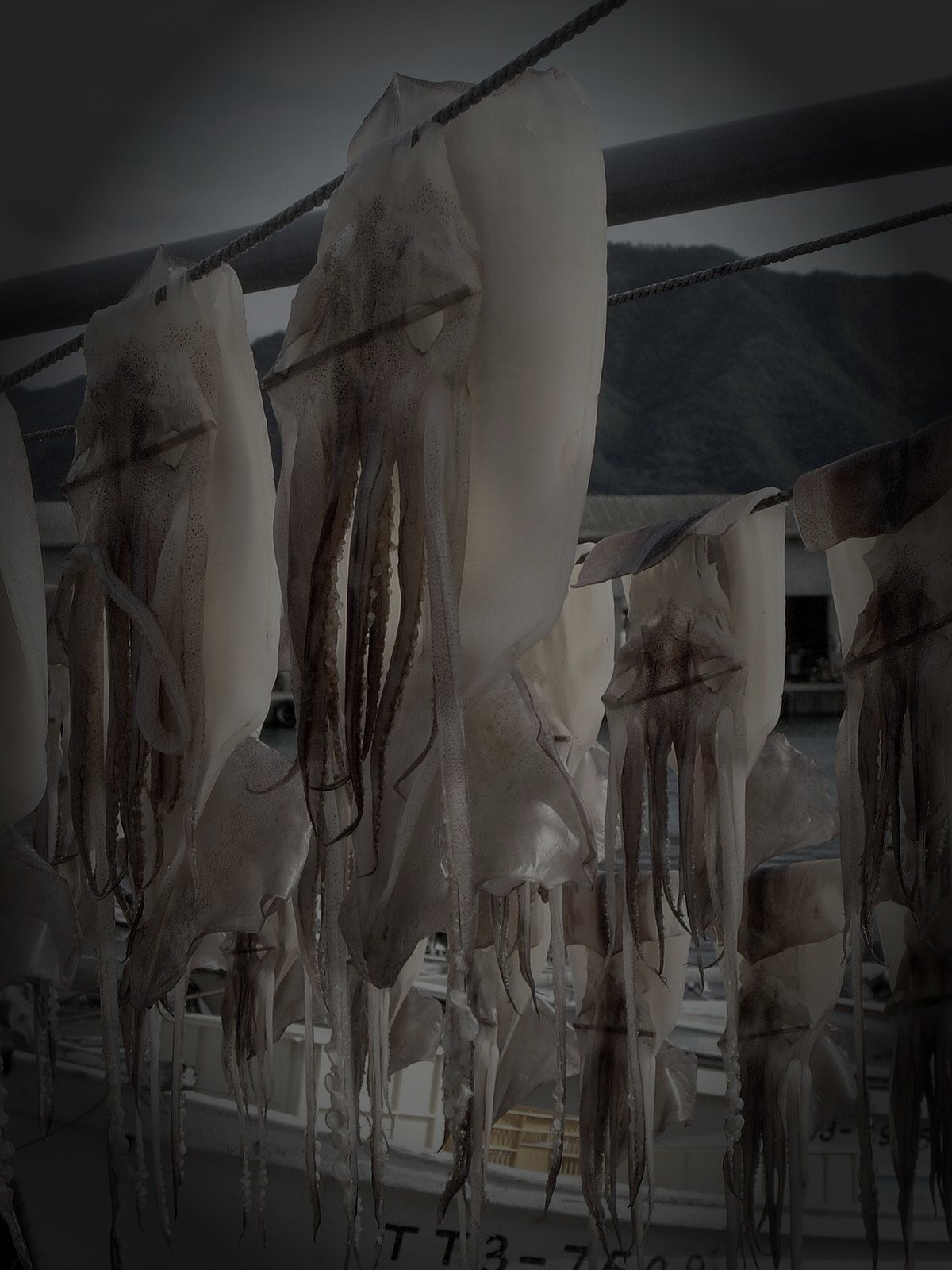 岩美町の廃鉱山坑道のイメージ（モザイク処理済み）