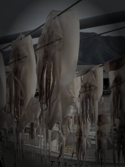 岩美町の廃鉱山坑道