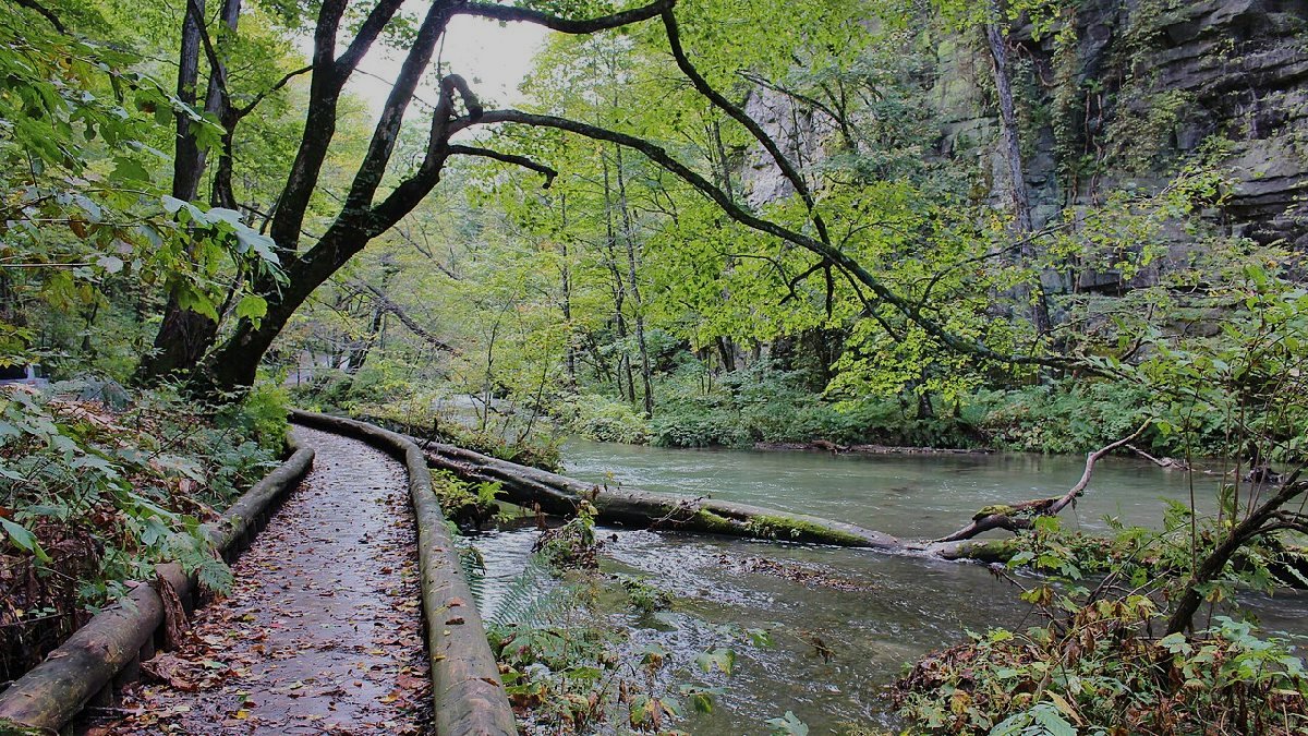 奥入瀬渓流のイメージ（モザイク処理済み）