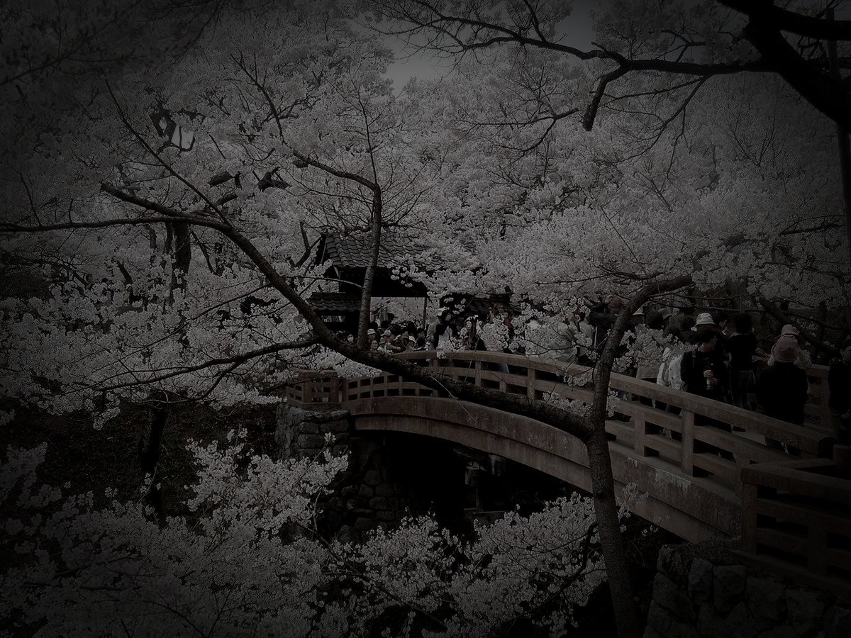 高遠城跡のイメージ（モザイク処理済み）