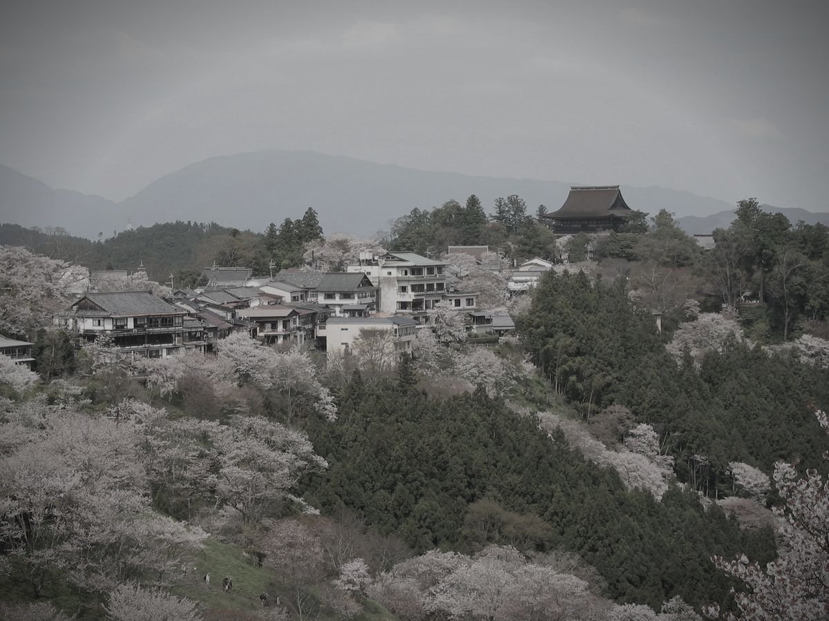 奈良県吉野郡 吉野山の観音堂のイメージ(モザイク処理済み)