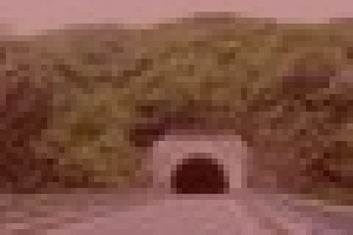 旧山県トンネルのイメージ(モザイク処理済み)