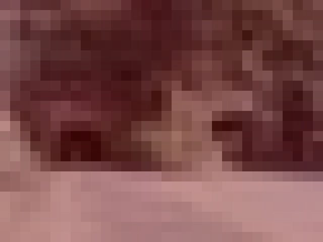 小坪トンネル群のイメージ（モザイク処理済み）