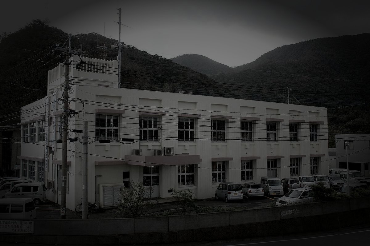 大島郡龍郷町の廃農村のイメージ（モザイク処理済み）