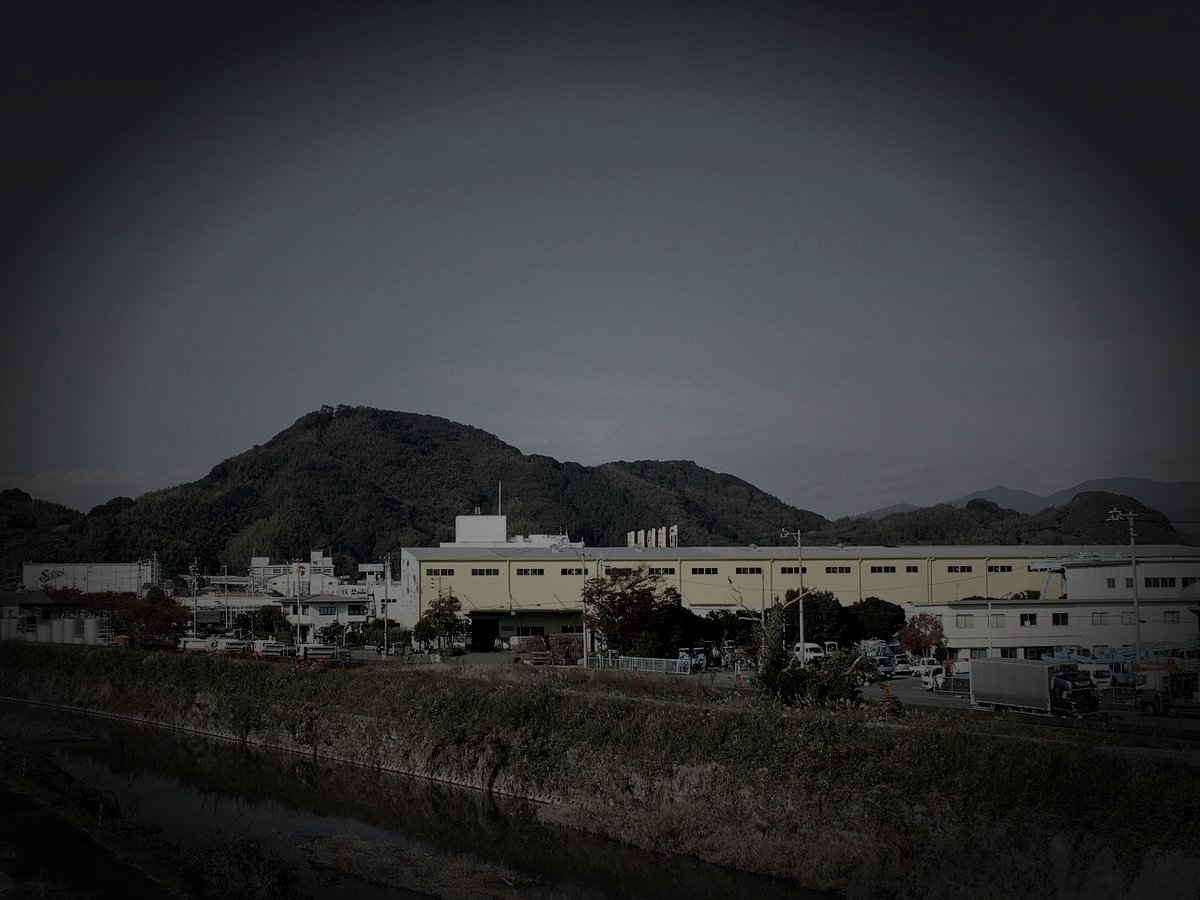 藤枝市廃農村の道祖神の祟りのイメージ（モザイク処理済み）