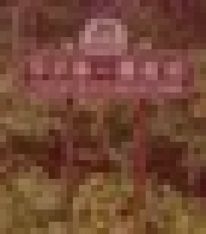 八甲田山・雪中行軍遭難地のイメージ（モザイク処理済み）