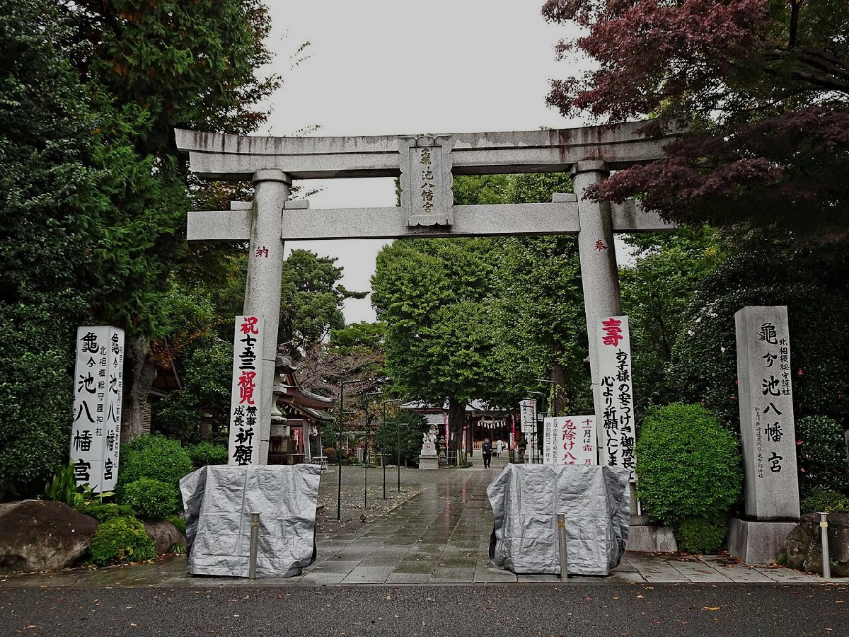 亀ヶ池のイメージ(モザイク処理済み)