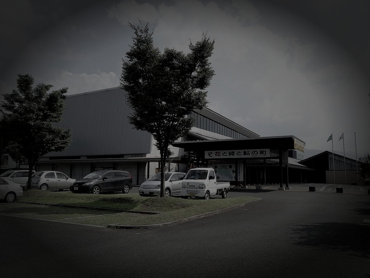 甲佐町の廃農村の霊のイメージ（モザイク処理済み）