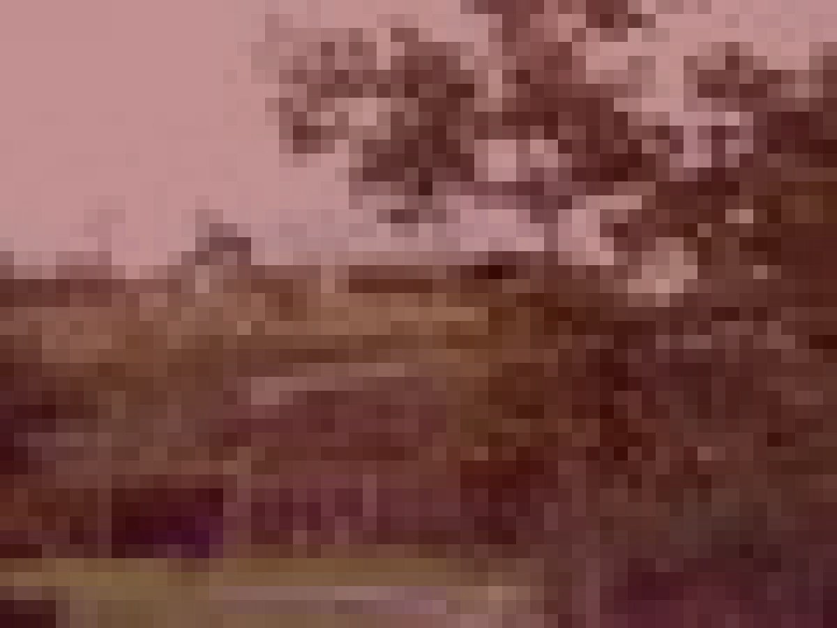 山梨市旧笛吹川の水難霊のイメージ（モザイク処理済み）